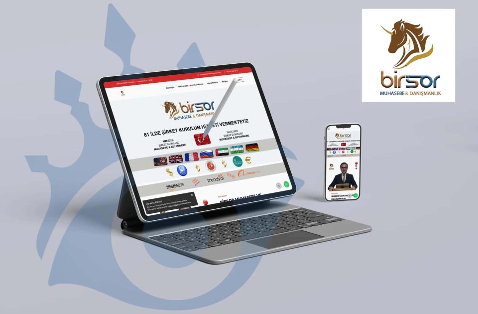 Birsor Küresel Düşünen Danışmanlık Hizmeti